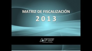 AFIP-Matriz de Fiscalización 2013